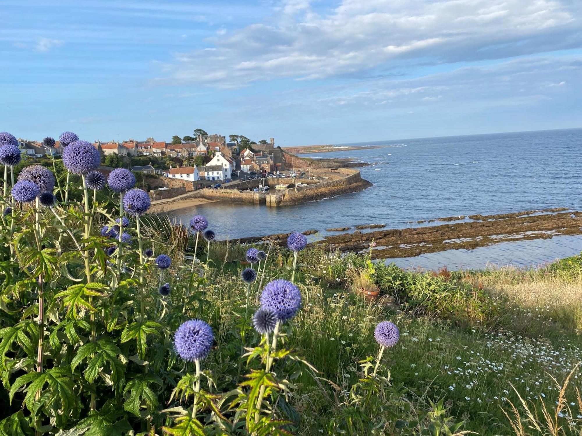 Apartamento Seagull'S Rest Crail Exterior foto